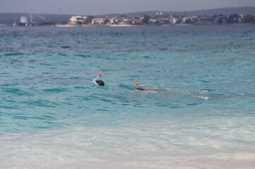 Zanzibar person snorkeling in the sea