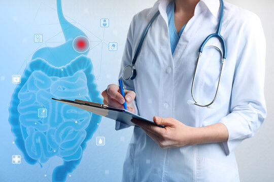 Gastroenterologist holding clipboard and virtual image of intestine on light background, closeup