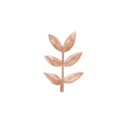 Watercolor illustration rose branch isolated on white background.