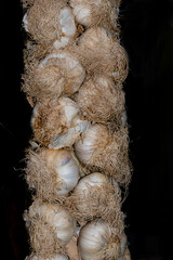 String of Garlic