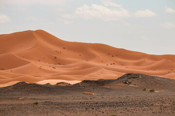 Fototapeta na wymiar Dunas en el desierto del Sáhara