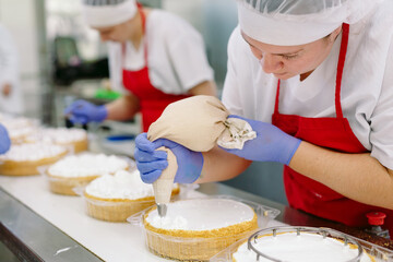 Decorating cakes on the conveyor of a confectionery factory.