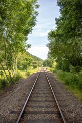 Fototapeta premium Railroad tracks in the forest