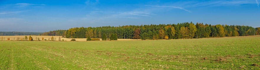 panorama view on landscape with fields and forest in autumn