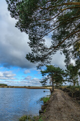 Fototapeta na wymiar autumn landscape with pond, path and grey clouds