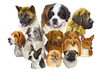 Realistic dogs of different breeds big vector illustration