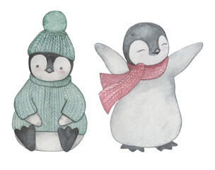 cute penguins in Christmas sweater