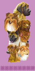 Vertical poster of different dogs breeds vector illustration purple