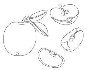 Apple icons set. Apples in minimal line style. One line drawing. Summer fruits. Vector illustration isolate on white background.