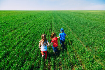 Kids friends run across a green field. View from the back.