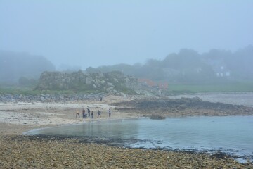 group of people in the fog at the beach