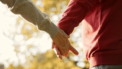 Closeup shot of senior couple holding wrinkled hands during their afternoon walk in their favorite...