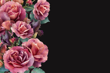 Floral banner, header with copy space. Red roses and iris isolated on dark background. Natural flowers wallpaper or greeting card.