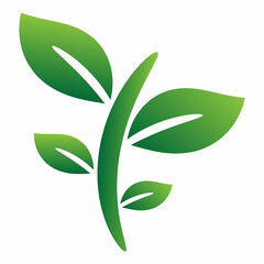 green leaf isolated on white background