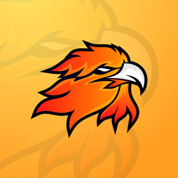 Fire bird or Phoenix , eagle head logo design template, best used for eSport mascot, modern style with red and yellow bright colors