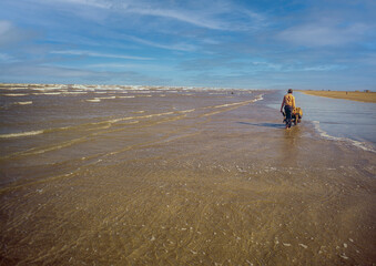 Fisherman carrying seashells on a wheelbarrow on the beach of the Maracaibo Lake,  Zulia State,...
