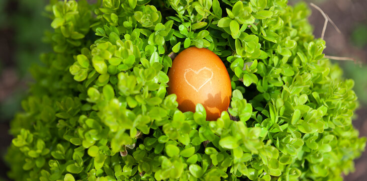 Ei mit Herz in einem  grünen Nest