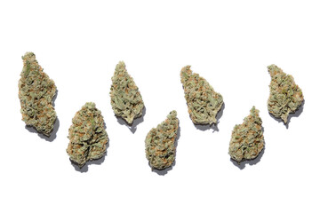 Marijuana buds closeup. Medicinal cannabis flowering on white background, isolated. Hemp recreation, medical usage, legalization.