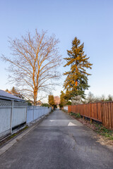 Alley in a residential neighborhood in the city suburbs. Surrey, Greater Vancouver, British Columbia, Canada. Spring Season Sunny Sunset.