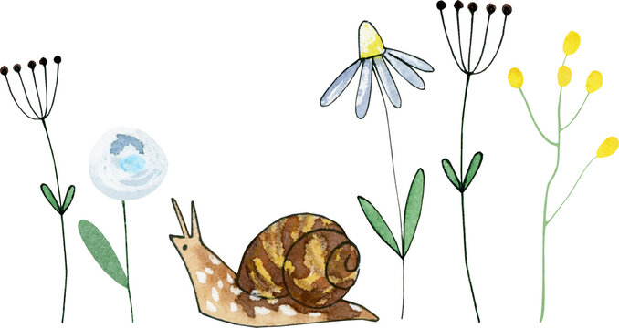 Cute Garden Insect Illustration Clipart, Watercolor Floral Sublimation Designs, Snail,