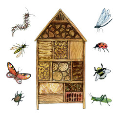 cute bug hotel illustration, insect house clipart, watercolor fairy garden sublimation designs, summer scenes image clipart © lyubovzaytseva