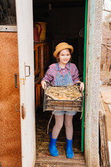 child farmer holds a nest with chicken eggs in his hands in a chicken coop. 