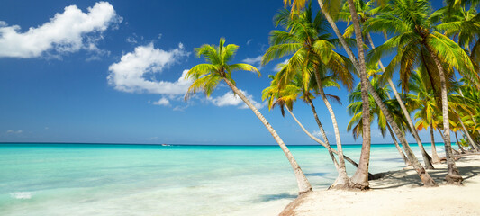 palms, sea and beach