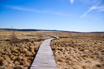 Holzsteg im Hochmoor