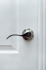 chrome door handle in white door