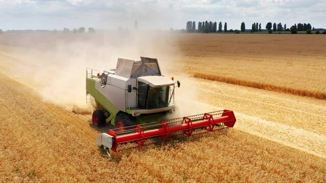 Harvesting wheat field at sunset Wheat field harvets Combine Agriculture Machinery Technology Food Modification Crop Farming Concept