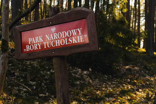 Wodden sign with writing National Park Bory Tucholskie standing in the middle of the forest. Sign post in dark brown colour and red background in woodland and afternoon sunshine