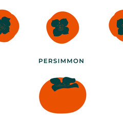Colorful fruit of fresh whole and sliced persimmon fruits. Vector illustration