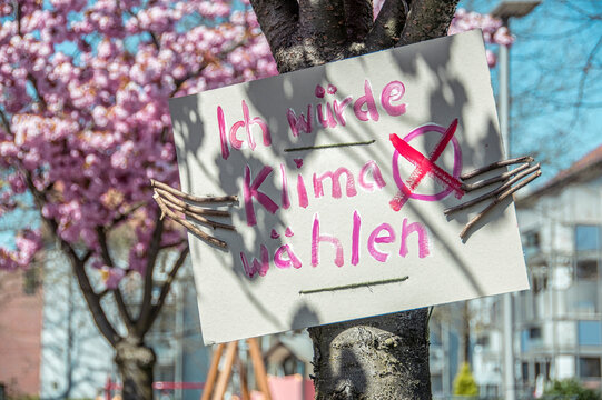 An einem blühenden Kirschbaum hängt ein Plakat mit der Aufschrift "Ich würde Klima wählen"