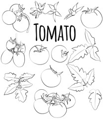 A black and white set of tomatoes with leaves and flowers. Vector graphics.