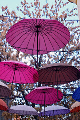 Fototapeta na wymiar Alley of umbrellas