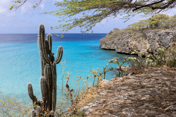 Holiday at Playa Jeremi on the Caribbean island Curacao