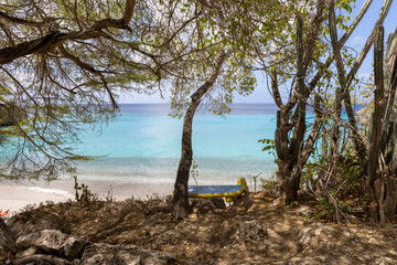 Fototapeta na wymiar Tree and a bench painted with the flag of Curacao with view over Playa Jeremi and the Caribbean sea in all shades of blue - Traveling Curacao