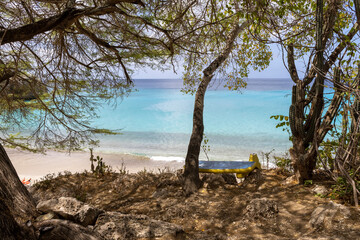 Tree and a bench painted with the flag of Curacao with view over Playa Jeremi and the Caribbean sea in all shades of blue - Traveling Curacao