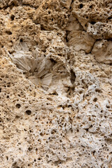 Coral cliff at the shore of Playa Jeremi on the Caribbean island Curacao