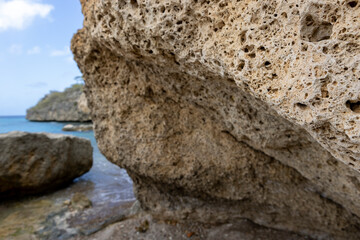 Coral rock at the shore of Playa Jeremi on the Caribbean island Curacao