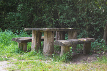 wooden bench in the park