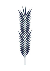 decorative leaf palm