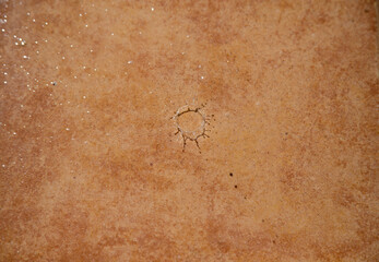 drop of water falling on a rustic background in the sunlight