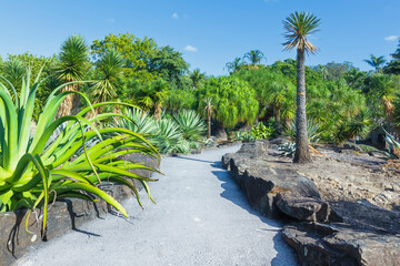 Botanischer Garten in Brisbane