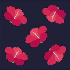 Beautiful hibiscus flowers Vector set of blooming tropical floral for holiday invitations, greeting card and fashion design Tropicania and exoticism