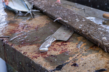
Gutting table made of stone and tools for processing fresh fish at Playa Grandi (Playa Piscado) on...