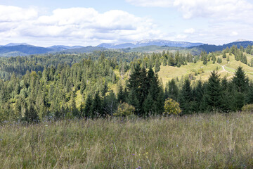 Fototapeta premium Panorama of mountains in the Ukrainian Carpathians on a summer day.