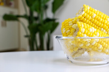 Corn on the cob (sweet corn, maize) in a glass bowl on a clean white living room table
