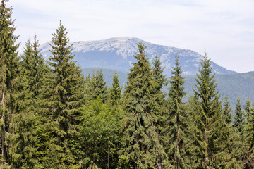 Panorama of mountains in the Ukrainian Carpathians on a summer day.