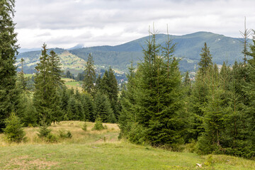 Panorama of mountains in the Ukrainian Carpathians on a summer day.